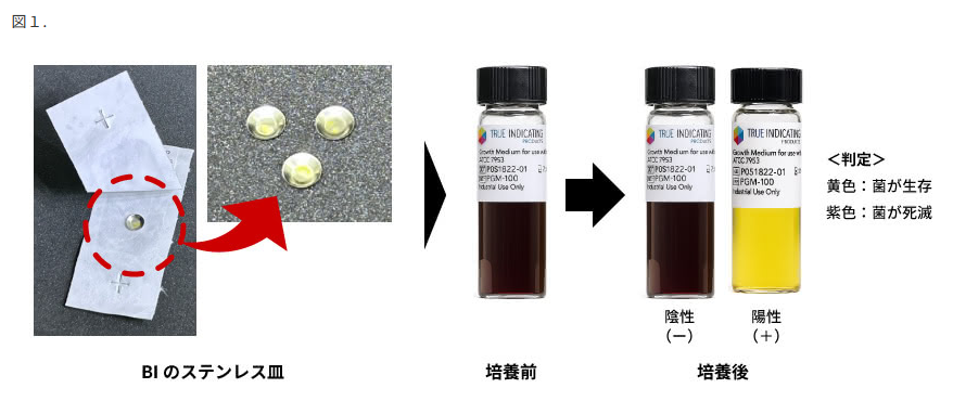 図1. BIのステンレス皿▶培養前➡培養後、〈判定〉黄色:菌が生存、紫色:菌が死滅